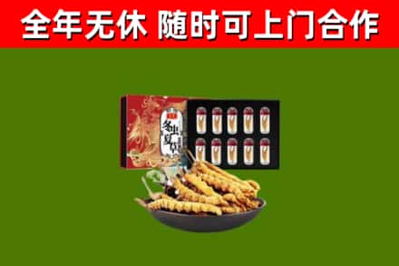 莞城街烟酒回收冬虫夏草礼盒.jpg